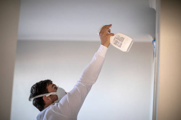 Best Emergency Mold Removal  in Temelec, CA