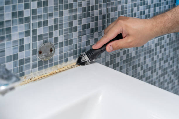 Best Fast Mold Removal  in Temelec, CA